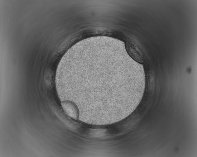 X0000116460266201001061044