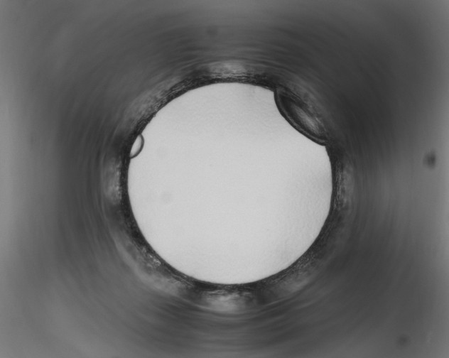 X0000116460267201001061044