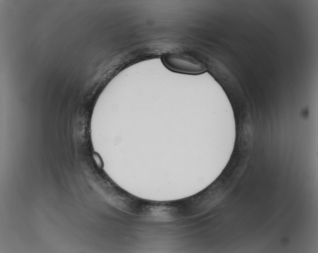 X0000116460268201001061044