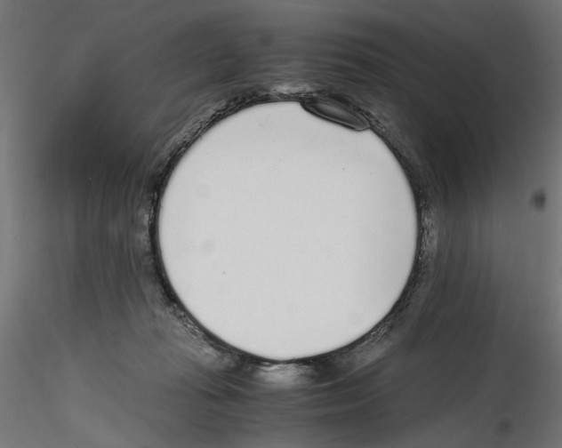 X0000116460269201001061044