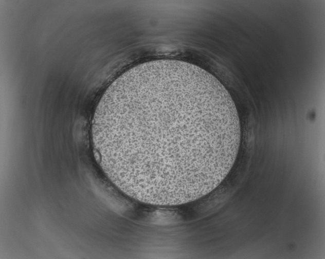 X0000116460270201001061044