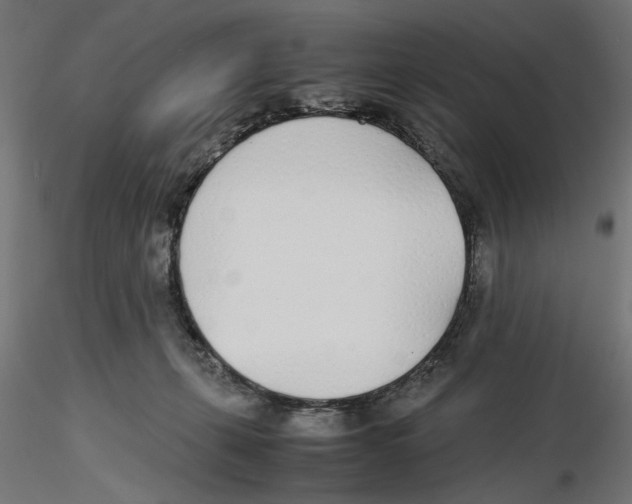 X0000116460271201001061044