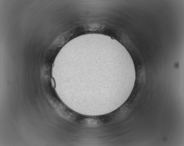 X0000116460272201001061044
