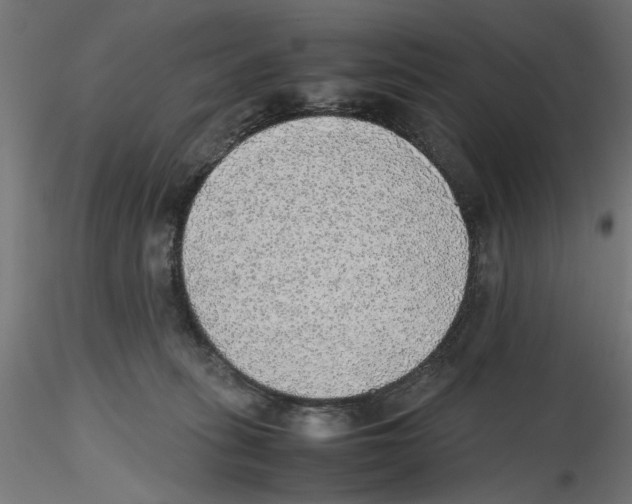 X0000116460275201001061044