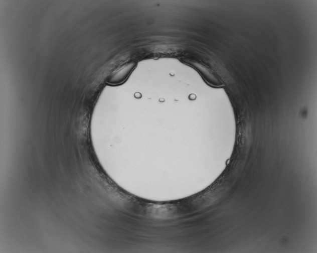 X0000116460277201001061044