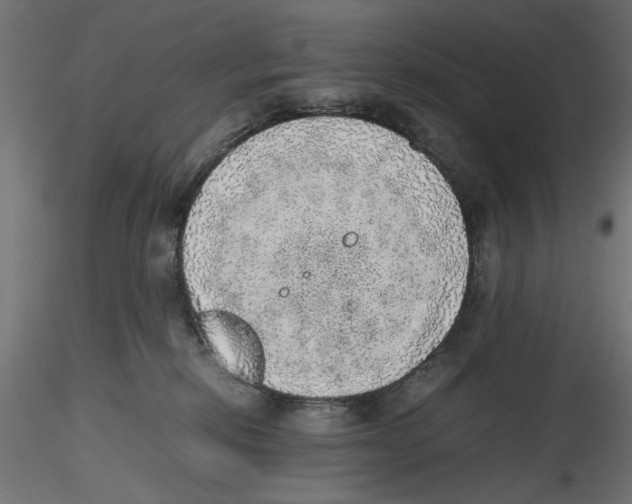X0000116460278201001061044