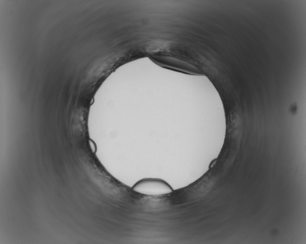 X0000116460280201001061044