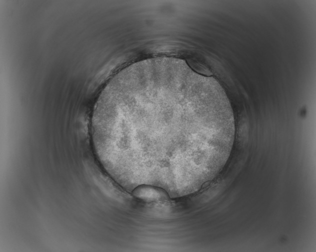 X0000116460282201001061044