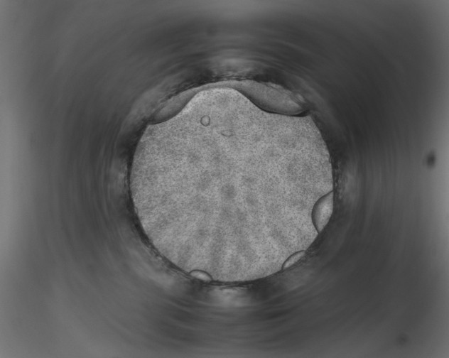X0000116460283201001061044