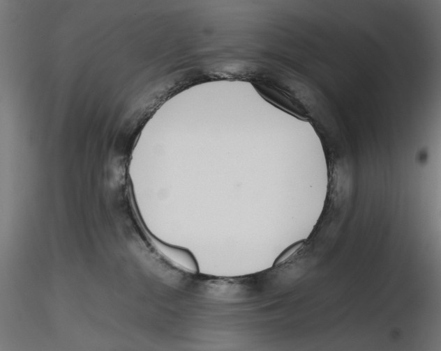 X0000116460284201001061044