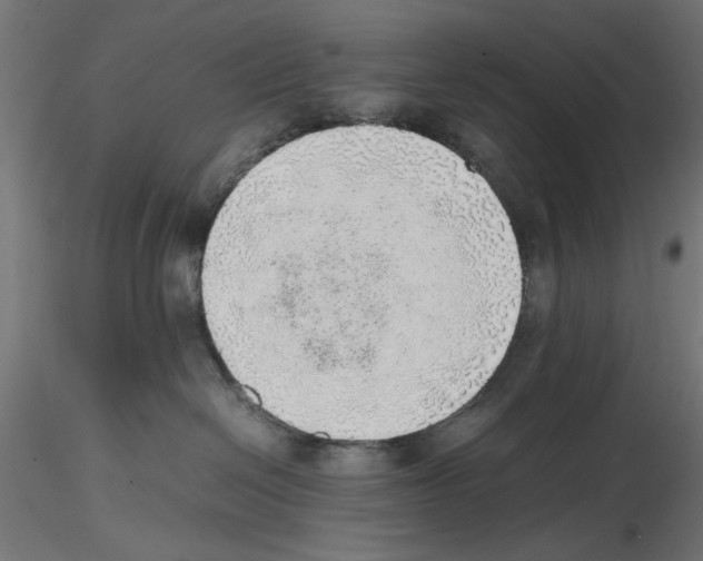 X0000116460286201001061045
