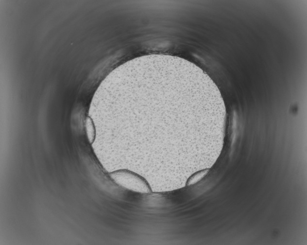 X0000116460287201001061045