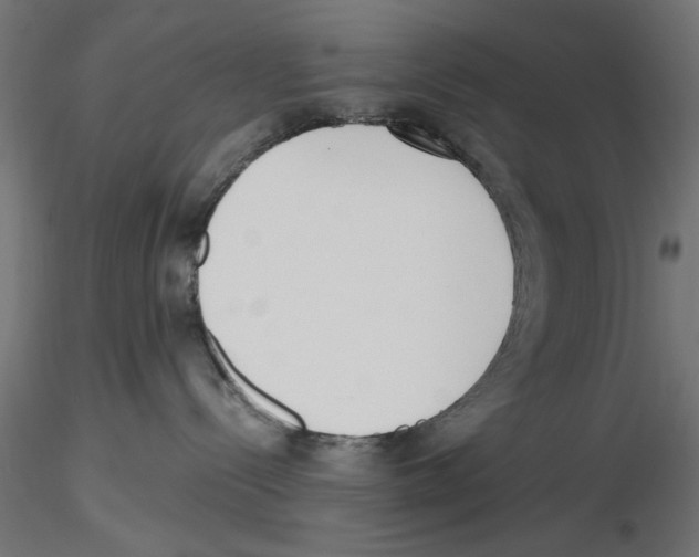 X0000116460288201001061045