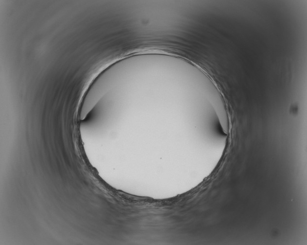 X0000116460289201001061044