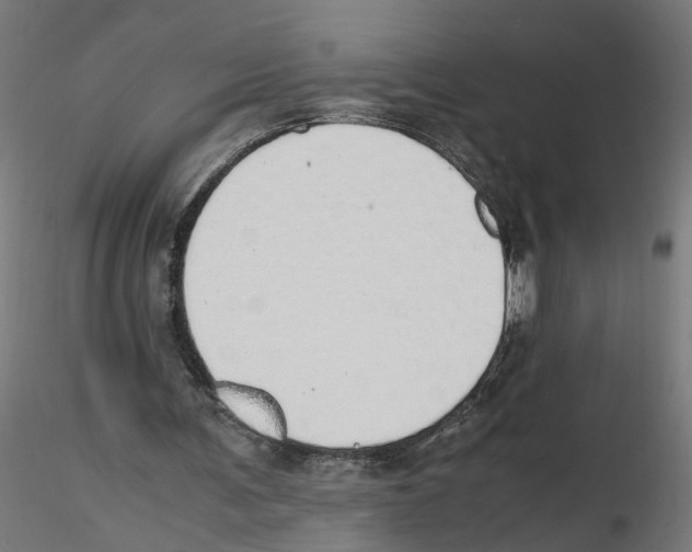 X0000116460291201001061044