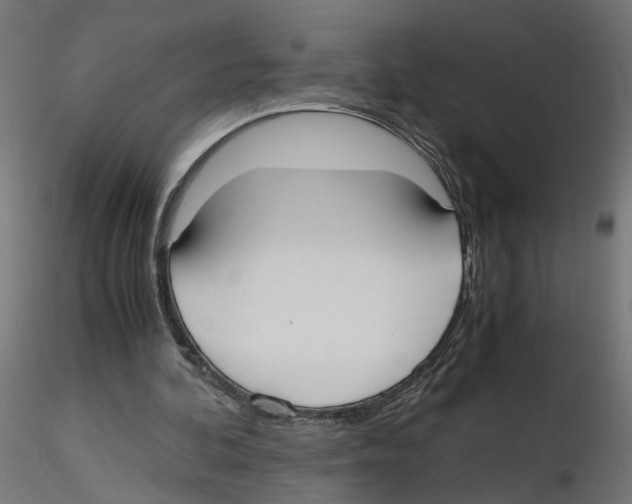 X0000116460292201001061044