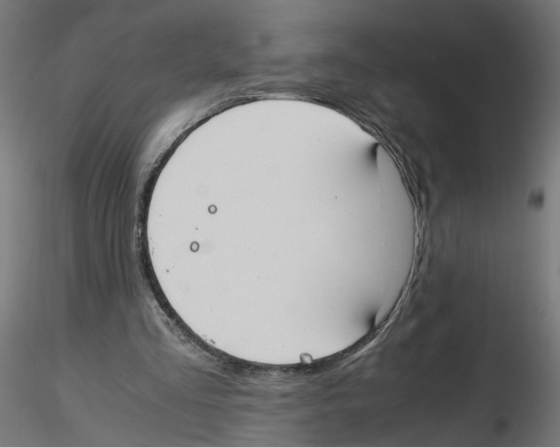 X0000116460293201001061044