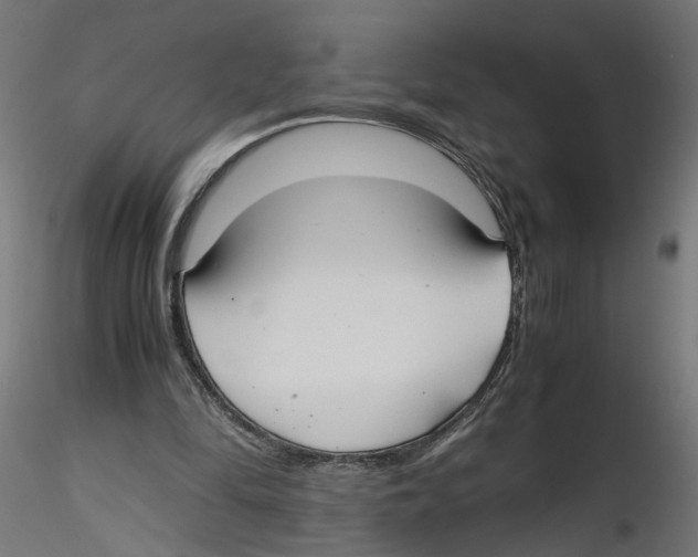 X0000116460294201001061044
