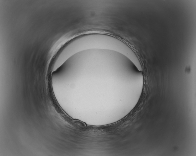 X0000116460296201001061044