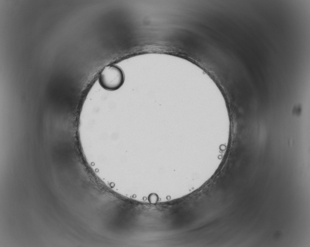 X0000116460297201001061044