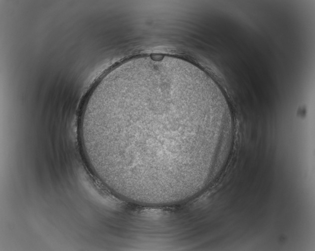 X0000116460298201001061044