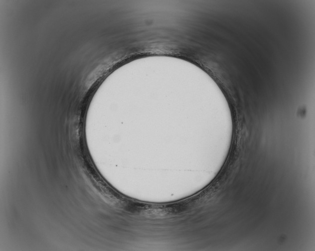 X0000116460299201001061044