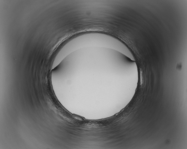 X0000116460300201001061044