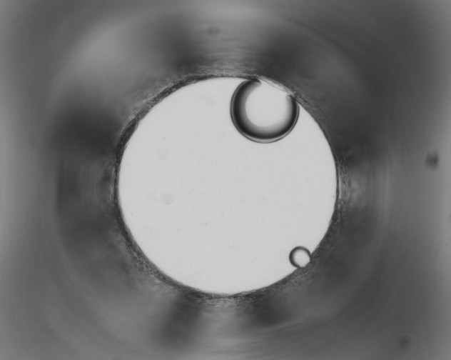 X0000116460301201001061044