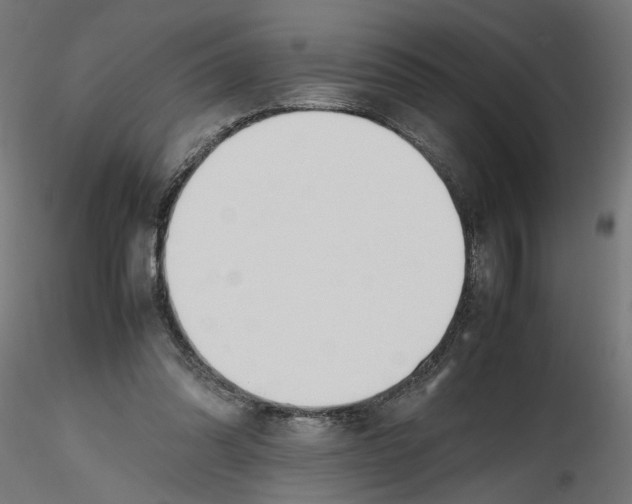 X0000116460302201001061044
