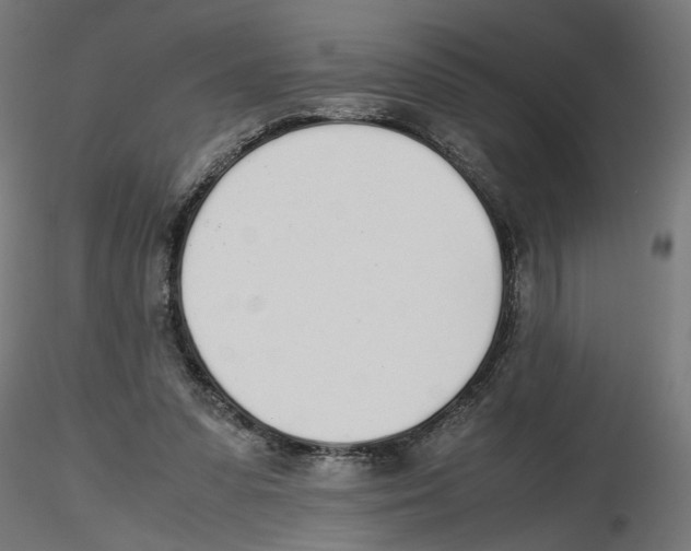 X0000116460303201001061044