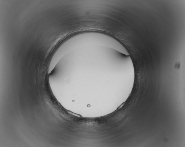 X0000116460304201001061044
