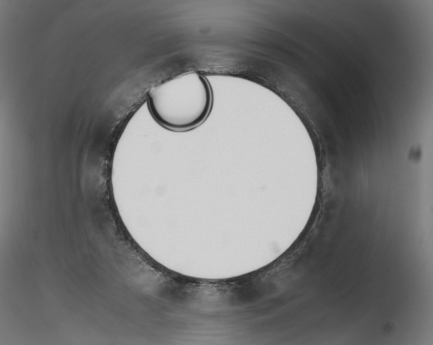 X0000116460305201001061044