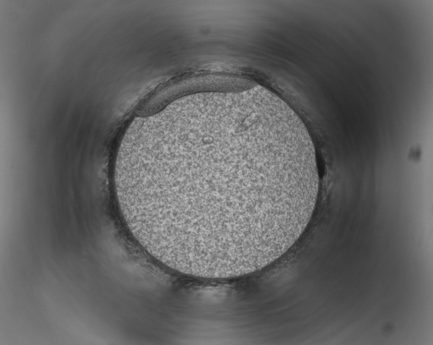 X0000116460306201001061044