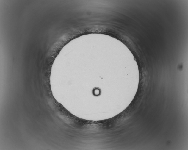 X0000116460307201001061044
