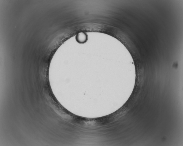 X0000116460309201001061044