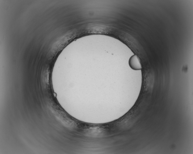 X0000116460310201001061044
