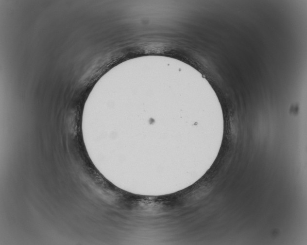 X0000116460311201001061044