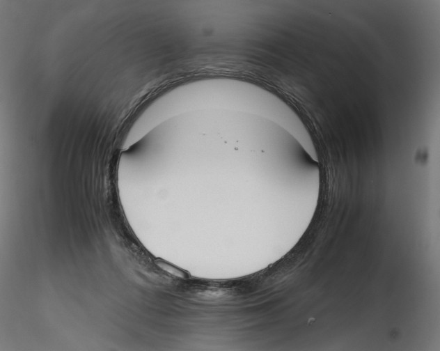 X0000116460312201001061044