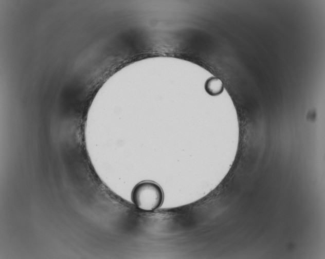 X0000116460313201001061044