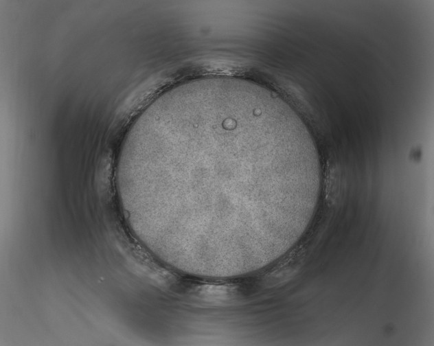 X0000116460314201001061044
