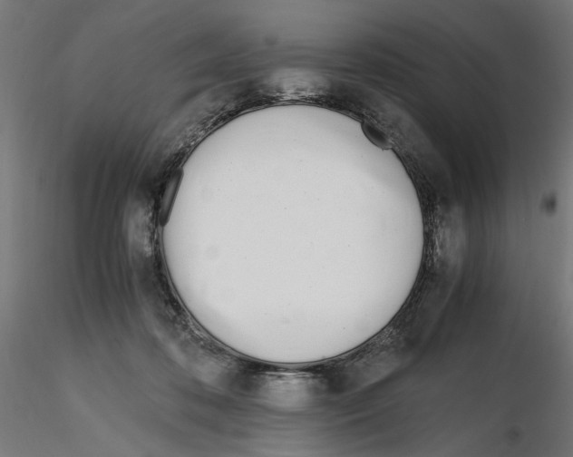 X0000116460316201001061044