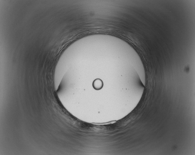 X0000116460317201001061043