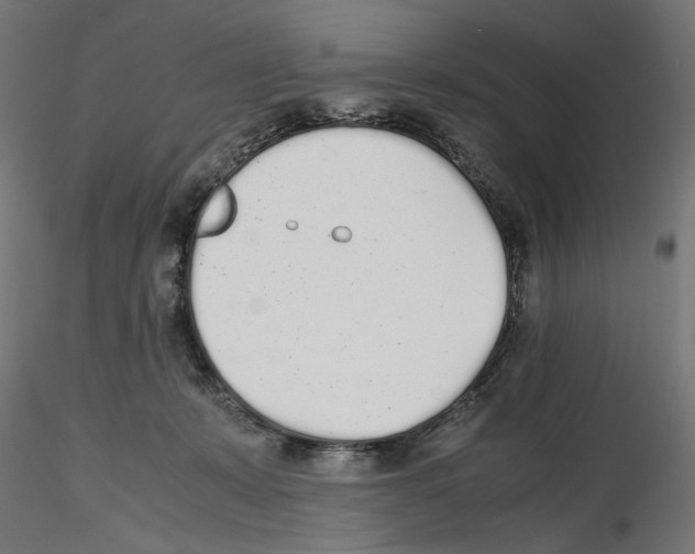 X0000116460319201001061043