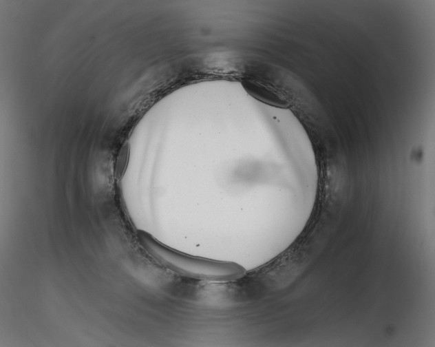 X0000116460320201001061043