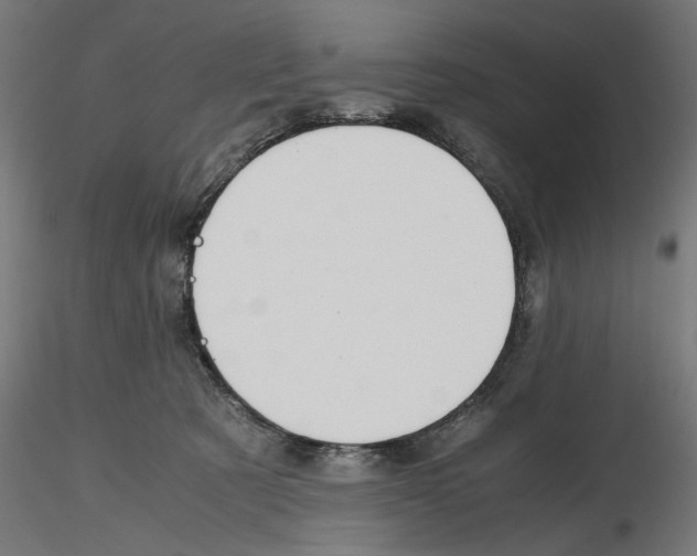 X0000116460321201001061043