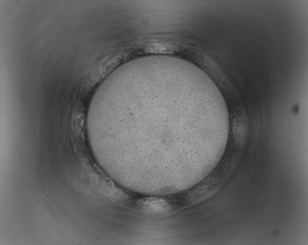 X0000116460322201001061043