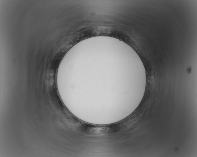 X0000116460323201001061043