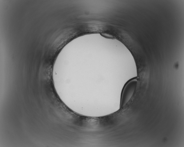 X0000116460325201001061043