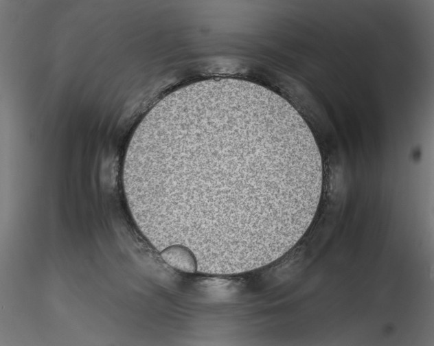 X0000116460326201001061043