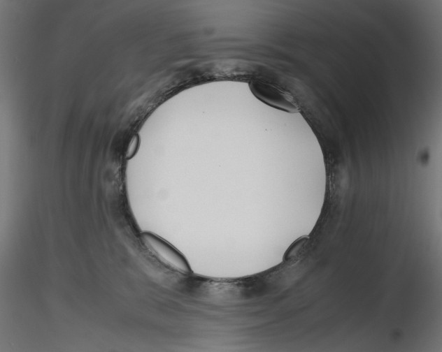 X0000116460327201001061043